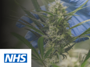 NHS Incompetence Exposed: The Four-Year, Taxpayer-Funded Failure of the UK Medical Cannabis Registry