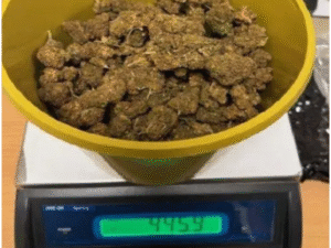 The ‘Victimless Crime’ Myth Shattered: Swindon Woman Exposed in £108,000 Transatlantic Cannabis Smuggling Attempt