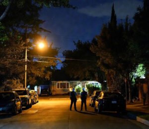 More Than Just Weeds: How a £96,000 Cannabis Farm Operated by an Illegal Immigrant Unveils a National Security Threat